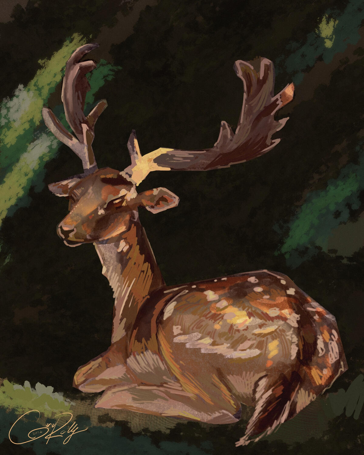Deer